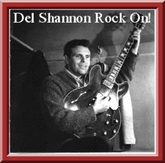 Del Shannon picture